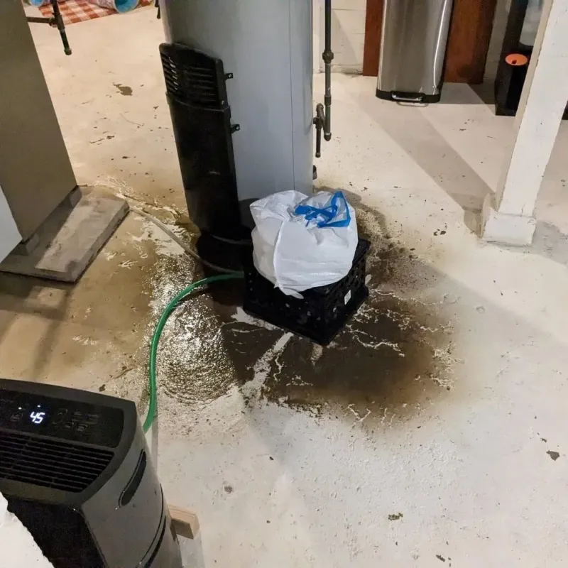Sewage Backup Cleanup Service in Perry County, PA